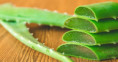 Vedci skúmajú látku z aloe vera proti Alzheimerovi. Týchto 7 krokov však pomáha chrániť vašu pamäť už dnes